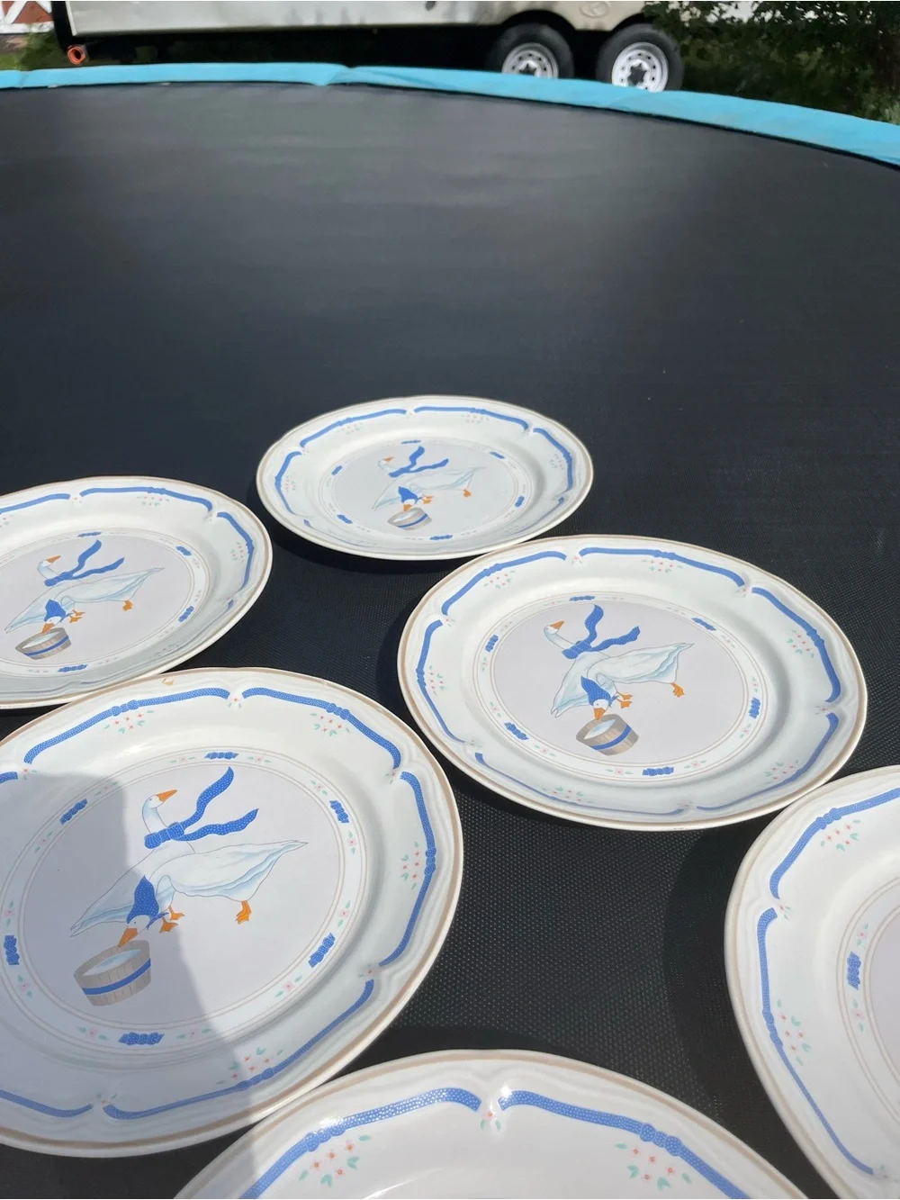 Set of 6 Newcor Geese Dinner Plates
